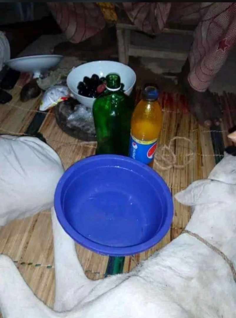 The Great Most Powerful Spiritual Herbalist And Native Doctor In Nigeria Oluawo+2347054677644