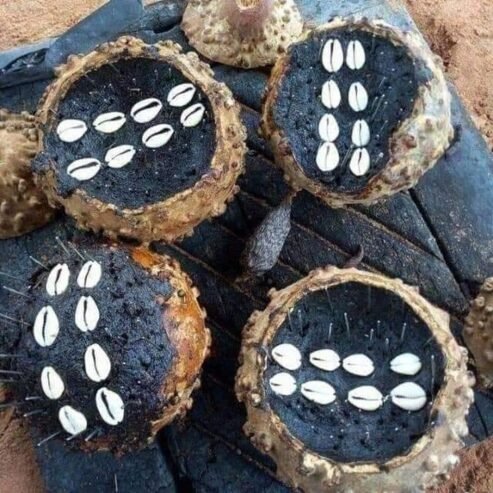 THE BEST POWERFUL SPIRITUAL HERBALIST AND NATIVE DOCTOR IN NIGERIA +2348156950703